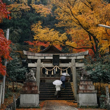 鈴木香那枝が撮影した「京都府中川町の取材撮影」の写真