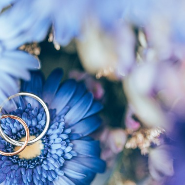 Photo taken by 宮川　斉記 - ring