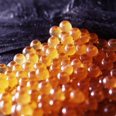 写真事務所ポートフォリオが撮影した「私のライフワーク」の写真