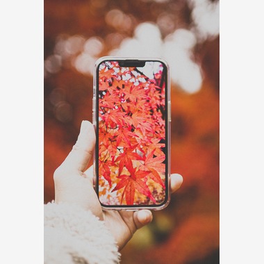 内藤駿介が撮影した「風景」の写真