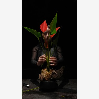 UKPHOTOが撮影した「アーティスト撮影」の写真