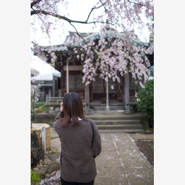 小林　幸之助が撮影した「これまでの実績」の写真