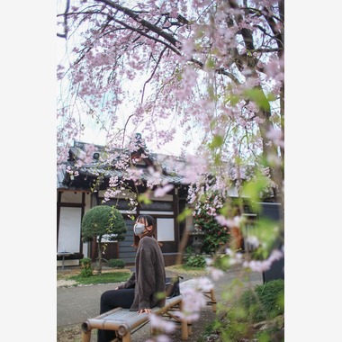 小林　幸之助が撮影した「これまでの実績」の写真