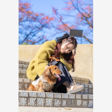 Photo taken by 踊るカメラマンAKIRA - Pet Photography