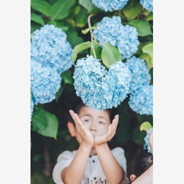 多田正子が撮影した「ファミリーフォト（バースデーフォト）」の写真