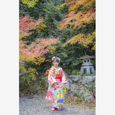 PHOTO 笑福が撮影した「七五三撮影」の写真