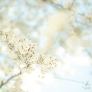 Photo taken by 木村　智 - 