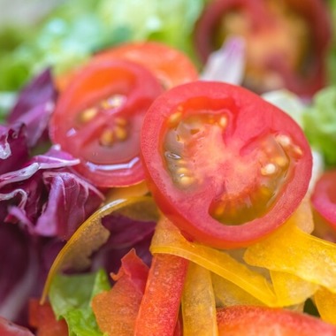 リトルダイナソーが撮影した「料理出張撮影」の写真