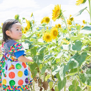 Photo taken by アトリエグラフィア - 