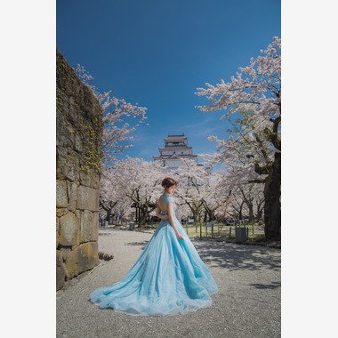 My Style Garden Studio が撮影した「桜」のウェディングフォト