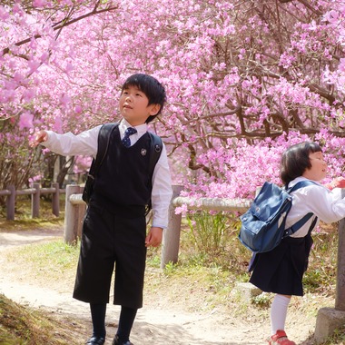 高夏写真店が出張撮影した「卒園・入学記念の写真」の家族写真