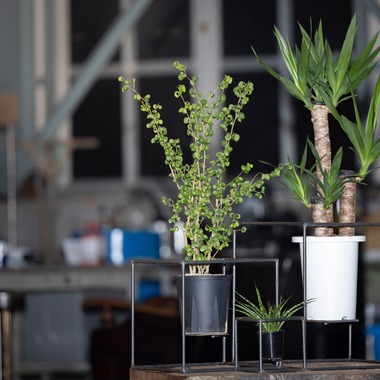 梅田　紫邑が撮影した「物撮り撮影」の写真