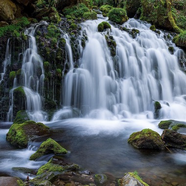 田近　ひとみが撮影した「その他」の写真