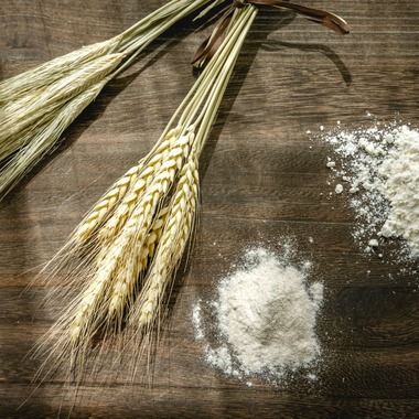 mina photographが撮影した「店舗・商品撮影」の写真