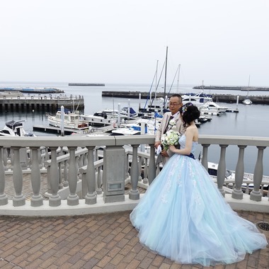 あとりえmagが撮影した「みかんの木」の写真