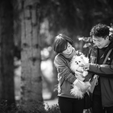 伊藤写真事務所 イン・ザ・ライフが撮影した「家族写真（ペットも家族）」の写真