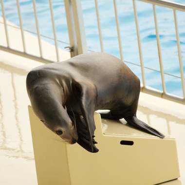 古閑和樹が撮影した「趣味活動記録」の写真