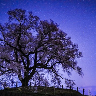 内藤駿介が撮影した「風景」の写真