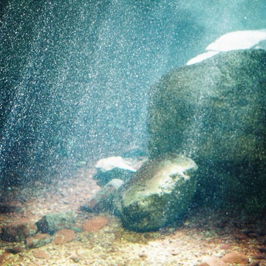 高田来未が撮影した「風景」の写真