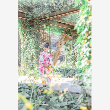 尾崎光が撮影した「七五三フォト/1P」の写真