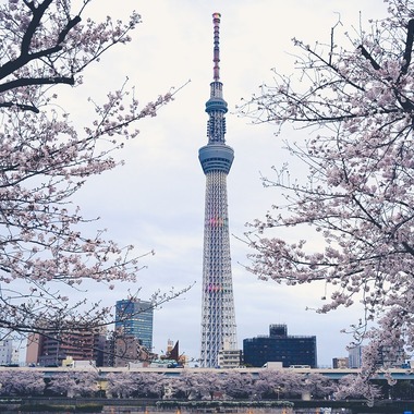 いんかが撮影した「風景.a」の写真