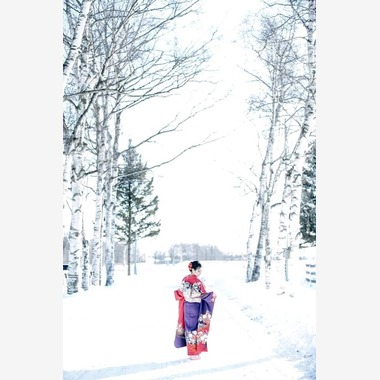 C.P Photo & Designが撮影した「サンプル」の写真