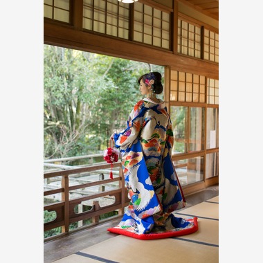 B-PLACE BiBが撮影した「フォトギャラリー」の写真