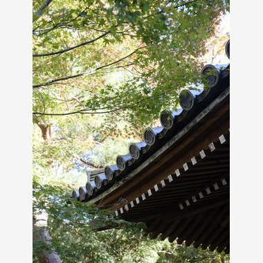 藤原和彦が撮影した「お寺さんでの七五三記念撮影」の写真