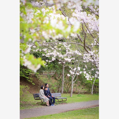 なかがわさとみが撮影した「中学校入学の日に桜と撮影」の写真