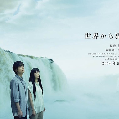 （有）プロヴィデンスが撮影した「ポスター」の写真