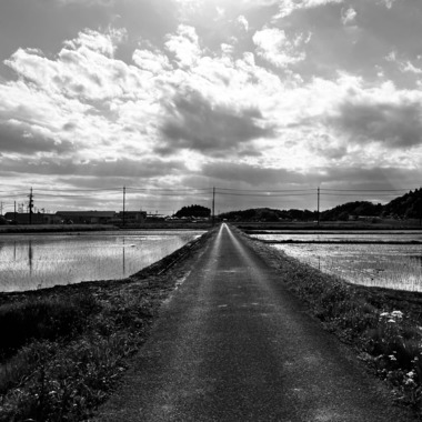 福井麻里が撮影した「建築」の写真