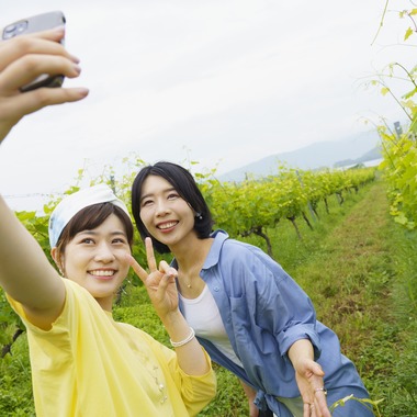 ノーザンスタジオが撮影した「「絶景で乾杯」キャンペーン用写真」の写真