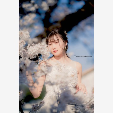 高遠が撮影した「プロフィール撮影」の写真