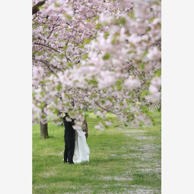 Photo taken by Peaceful Pictures - 