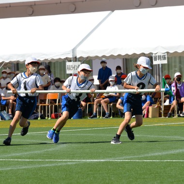 いんかが撮影した「学校写真.c」の写真