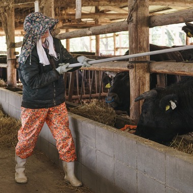 studio cactusが撮影した「農家 - 風景／人物／牛」の写真