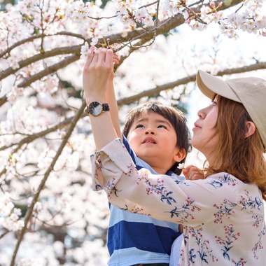 Lightgraphyが撮影した「桜の季節の親子フォト」の写真