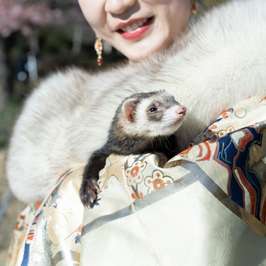 寫樂斎が撮影した「大学卒業記念（江の島）」の写真