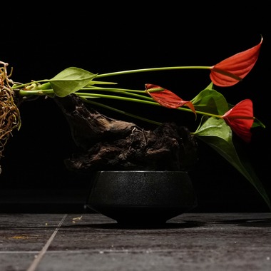 UKPHOTOが撮影した「アーティスト撮影」の写真