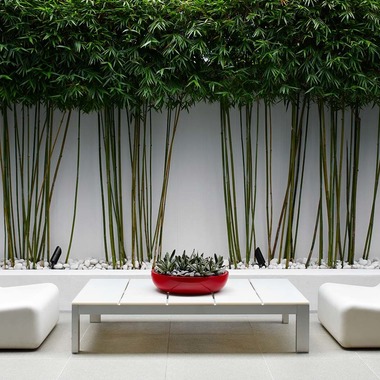 シドニー・クリエイティブフォトグラフィーが撮影した「雑誌、広告、景色、カタログ、人物、芸能人等」の写真