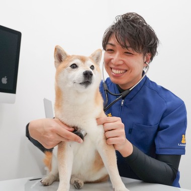 出張撮影くろめっとが撮影した「動物病院例」の写真