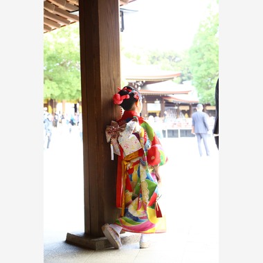 Photographer  Tomoが撮影した「七五三祝い」の写真