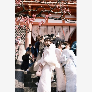 中谷新が出張撮影した「京都撮影」の家族写真