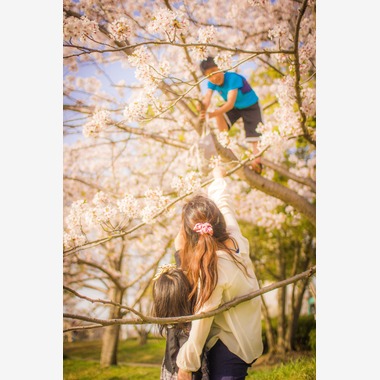 出張撮影　ビンコロ堂が撮影した「家族写真」の写真