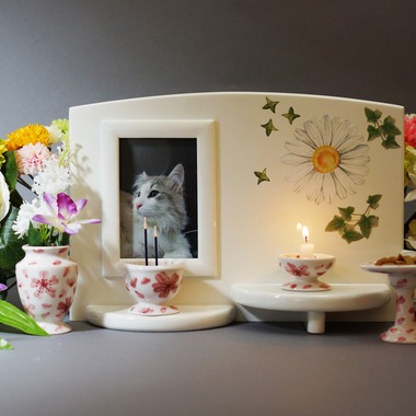 出張撮影のメモリーズが撮影した「宣材-アラカルト」の写真