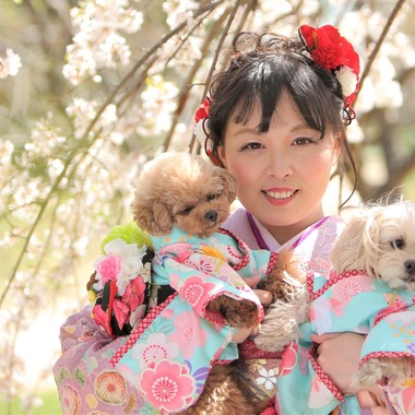 Photographer  Tomoが撮影した「成人の日」の写真