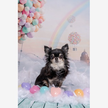 blankが撮影した「商品撮影」の写真