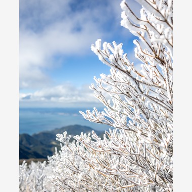 PhotoBaseありよしが撮影した「旅先での記念撮影」の写真