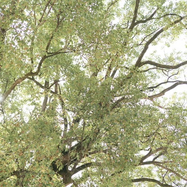 Aurora Photographyが出張撮影した「七五三、日常撮影」の家族写真