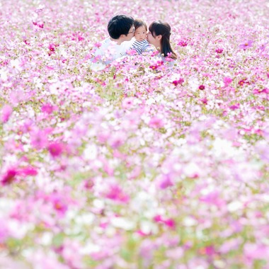 lino-'akaが撮影した「コスモス」の写真